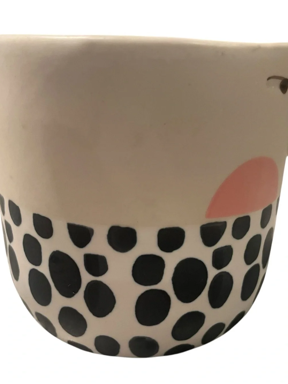 Anthropologie fotini tikkou